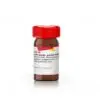 Latex beads, amine-modified polystyrene, fluorescent red